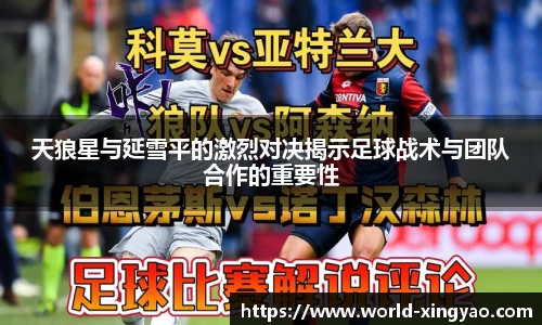 天狼星与延雪平的激烈对决揭示足球战术与团队合作的重要性